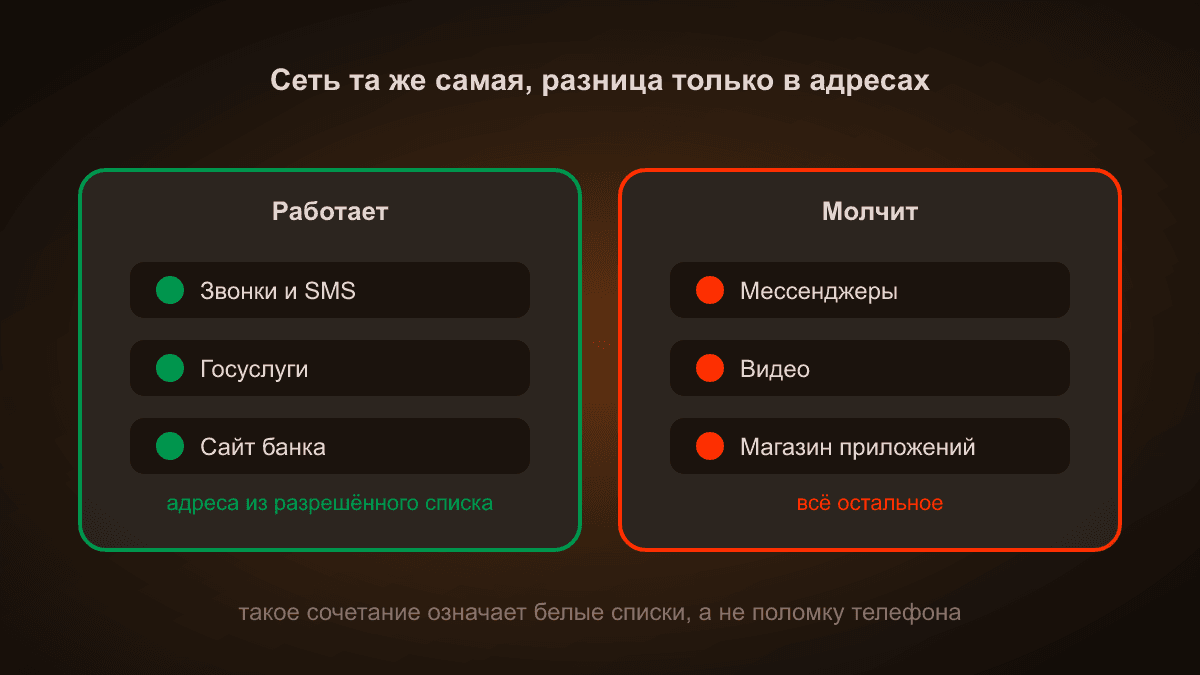 Схема: две колонки. Слева — «работает» с зелёной рамкой: звонки, Госуслуги, сайт банка. Справа — «молчит» с красной рамкой: мессенджеры, видео, магазин приложений. Сеть при этом одна и та же