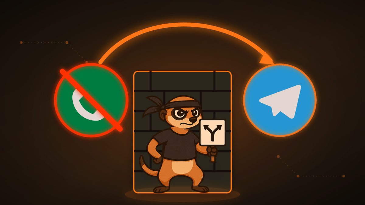 Do WhatsApp and Telegram Calls Work in Russia? (2026)